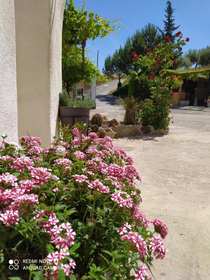 B&B Troisi Racalmuto Exterior photo